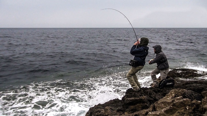 saltwater fishing tips